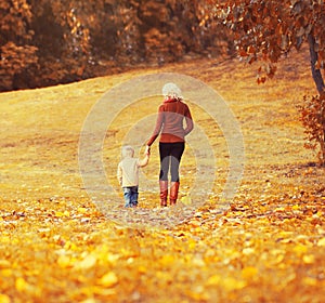 Mother and child walking together in autumn park with yellow leaves