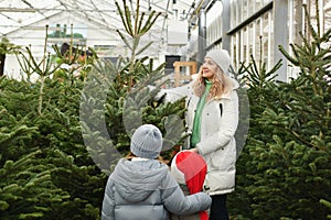 Mother and children buying a Christmas norman tree in a shop