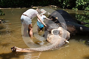 Mother with children caressing Asian elephant in captivity, chained, abused for attracting tourists