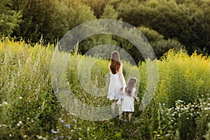 Mother with daughter walking along a country road, background summer meadow sunset, back view