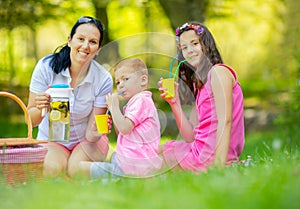Mother with children enjoying at the picnic