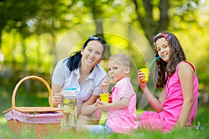 Mother with children enjoying at the picnic