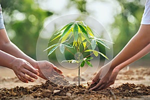 mother with children helping planting tree in nature for save earth. environment eco concept