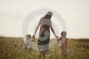 Mother and children two daughters walking along a country road through a meadow. Summer, nature, family, vacation. mothers day