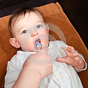 Mother conducts oral hygiene of the child lying on a brown towel. Mom hand is brushing the teeth of the toddler baby boy