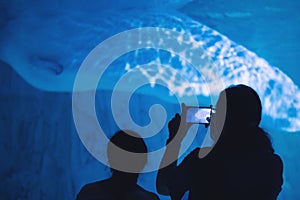 A mother and daughter at the aquarium taking photos on a mobile phone of a beluga whale