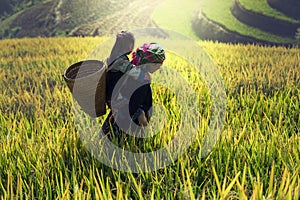 Mother and daughter on cornfield