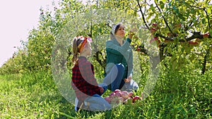 A mother and daughter duo picking apples in a bountiful orchard