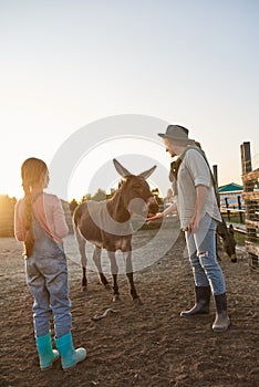 Mother and daughter feeding donkey in paddock