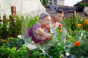 Mother and daughter gardening together.Gardening discovering and teaching