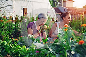 Mother and daughter gardening together.Gardening discovering and teaching