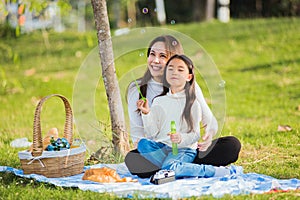Mother and daughter having fun blowing soap bubbles during a picnic