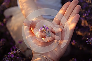 Mother and daughter in a lavender field. Hands hold purple flowers. Love, happiness, pleasure, tranquility, unity with