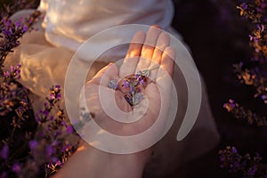 Mother and daughter in a lavender field. Hands hold purple flowers. Love, happiness, pleasure, tranquility, unity with