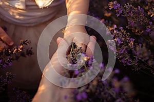 Mother and daughter in a lavender field. Hands hold purple flowers. Love, happiness, pleasure, tranquility, unity with