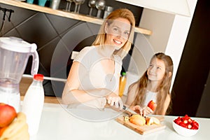 Mother and daughter in modern kitchen prepating food
