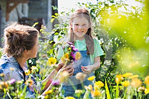 Mother and daughter picking pretty colourful flowes in their organic garden photo