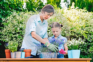 Mother and daughter planting flowers in pots in the garden - concept of working together, closeness