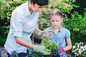 Mother and daughter planting flowers in pots in the garden - concept of working together, closeness