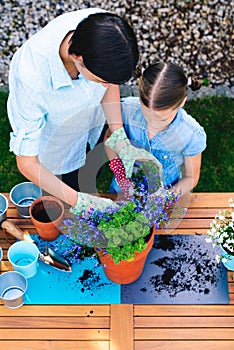 Mother and daughter planting flowers in pots in the garden - concept of working together, closeness