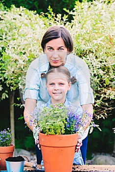 Mother and daughter planting flowers in pots in the garden - concept of working together, closeness