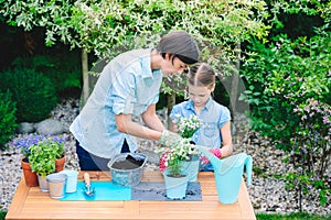 Mother and daughter planting flowers in pots in the garden - concept of working together, closeness photo