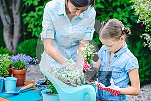 Mother and daughter planting flowers in pots in the garden - concept of working together, closeness photo