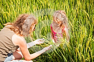 Mother and daughter on the rice paddies photo