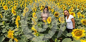 Mother and daughter standing in a field and posing  while surrounded by sunflowers