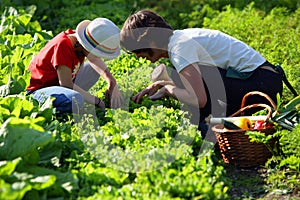 Mother and daughter in vegetable garden