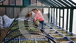 Mother and daughter water the seedlings in a small greenhouse near the house. The concept of a friendly family