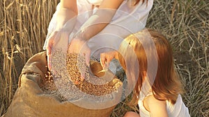 Mother farmer is playing with little son, daughter in field. close-up. ear of wheat in hand of a child. mother and