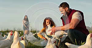 Mother, father and child with a chicken on a farm playing having fun farming and harvesting organic poultry livestock