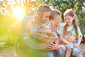 Mother and father with daughter are collecting eggs and putting them in a brown wicker baset, concept organic family lifestyle