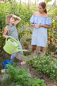 Mother, father and daughter watering plants