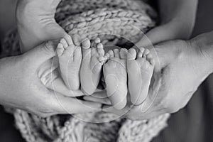 Mother and father`s hands cradling twin babies feet