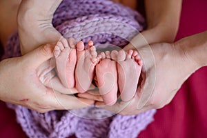 Mother and father`s hands cradling twin babies feet