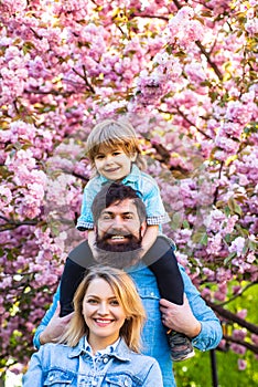 Mother father and son. Beautiful family enjoying in a spring blossom park. Little son sitting on her father`s shoulders.