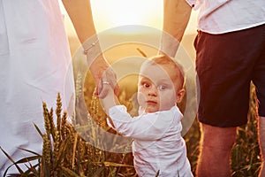 Mother and father with their son spending free time on the field at sunny day time of summer. View from behind