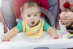 Mother feeding baby food