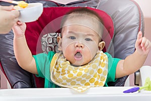 Mother feeding baby food