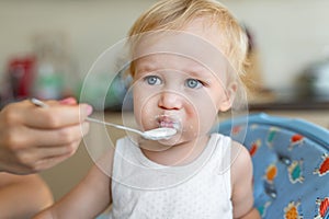 Mother feeding cute adorable caucasian little blond toddler boy with yogurt or milk cottage cheese for lunch snack