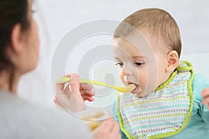 Mother feeding her child with stewed fruits photo