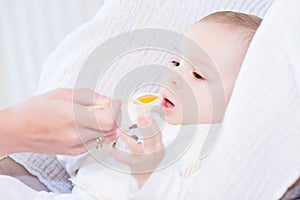 Mother feeding her lovely smiling baby boy with spoon