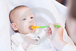 Mother feeding her lovely smiling baby boy with spoon