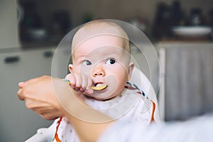 Mother feeding little baby with spoon