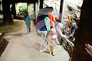 Mother with four kids discovering and watching animals at zoo