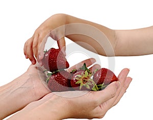 Mother gives handful strawberries