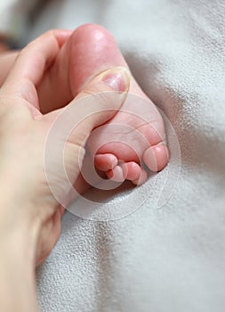 Mother hand massaging baby foot on