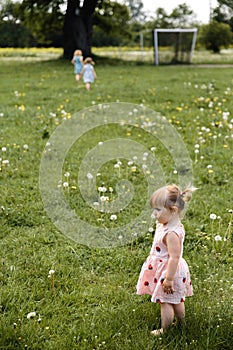 Mother having quality funny playing time with her baby girls at a park blowing dandelion - Young blonde hippie -